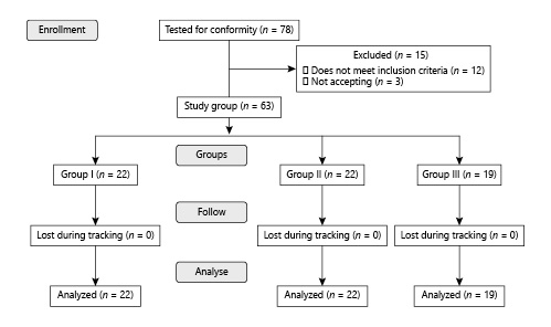  Flow chart showing the number of patients included and excluded in the study.