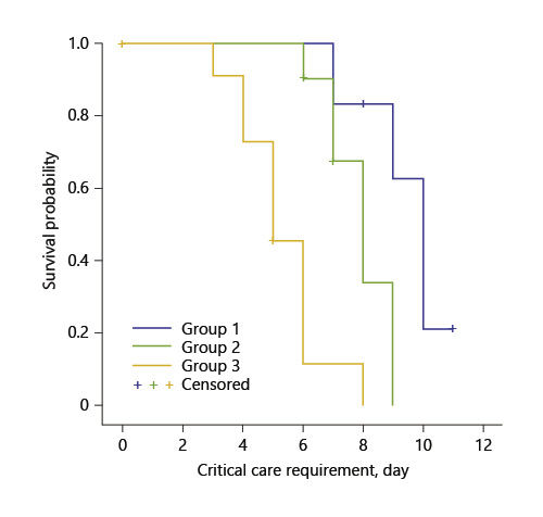 Kaplan-Meier survival curves of the critical care requirement of the patients during the first 12 days (log rank p < 0.05). Refer to the image caption for details.