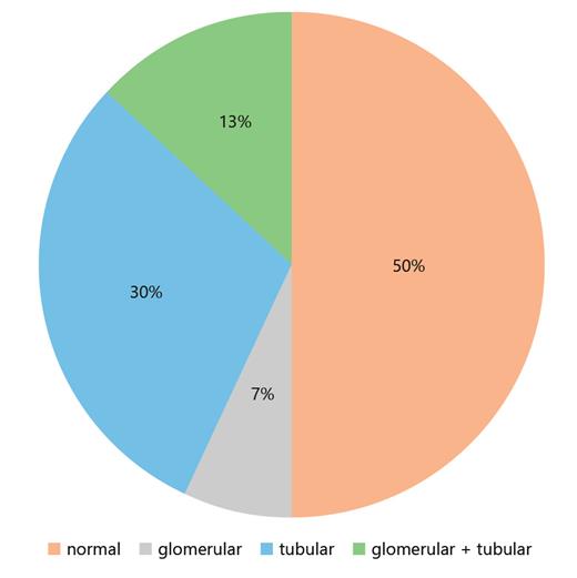 Fig. 3. Percentage distribution of urinary protein patterns at 1 year after living donation. Normal, no abnormalities; glomerular, at least 1 glomerular protein is increased; tubular, at least 1 tubular protein is increased; glomerular + tubular, at least 1 glomerular and 1 tubular protein are increased.