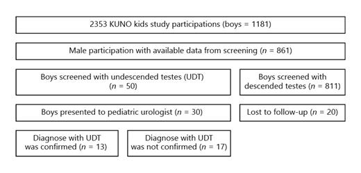 Fig. 1. Flowchart of patients.