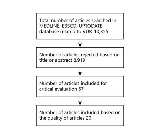Fig. 1. The details of the number of articles included.