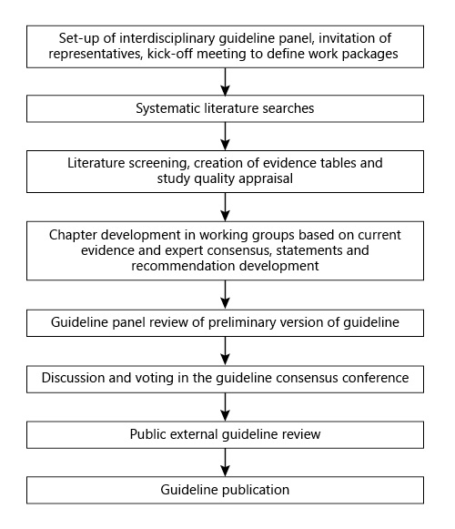 Fig. 1. Steps of the guideline development process.