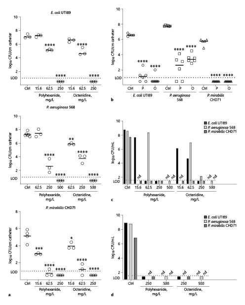 Fig. 1. Activity of polyhexanide and octenidine against bacterial catheter biofilms. Polyhexanide and octenidine in different concentrations were added once at the beginning of the biofilm formation process to artificial urine containing bacteria and catheter segments (a, c) or biofilms formed on catheter segments in artificial urine were treated with 250 mg/L (E. coli and P. mirabilis) or 500 mg/L (P. aeruginosa) polyhexanide (P) and octenidine (O) for 24 h. Planktonic (c, d) and biofilm-forming bacteria (a, b) were quantified. Open symbols show the values of the individual measurements. Horizontal lines show median values. ctrl, control without adding disinfectants; LOD, limit of detection; nd, not determined. *p < 0.05 over control, **p < 0.01 over control, ***p < 0.001 over control, ****p < 0.0001 over control.