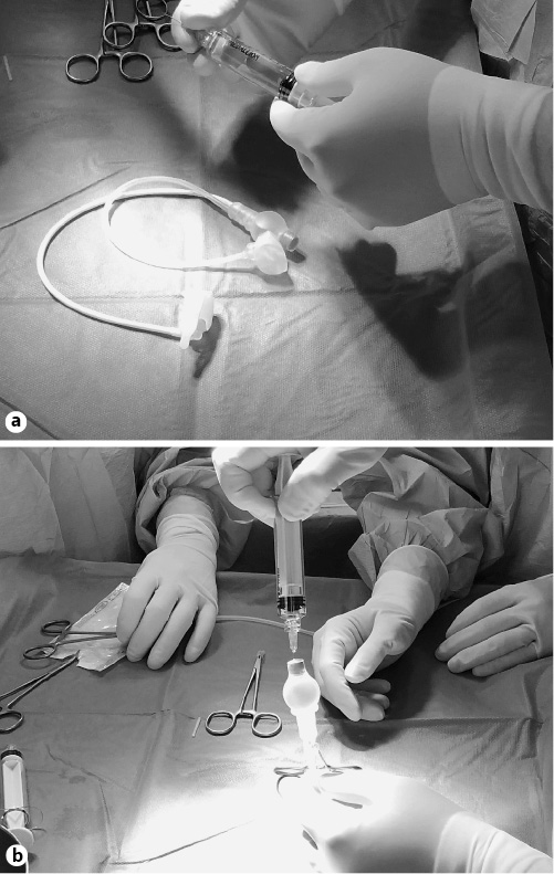 Fig. 2. Refer to the image caption for details.