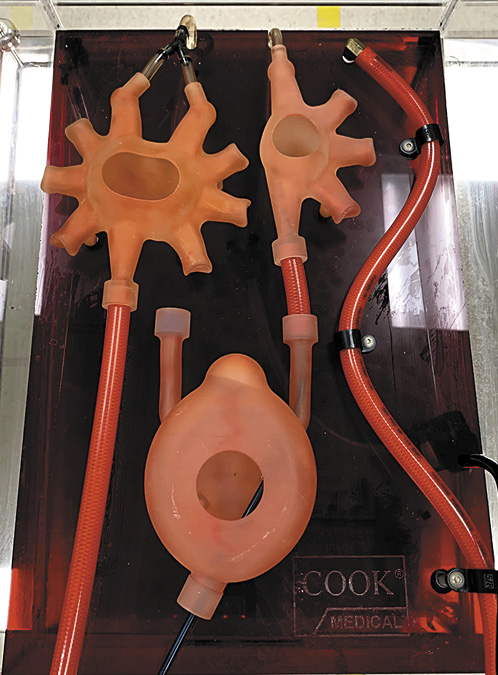  Cook Endourology Model. Refer to the image caption for details.