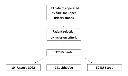  Flow chart for cohort selection.