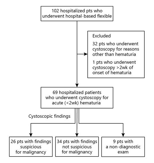 Fig. 1. Flowchart describing the study cohort.