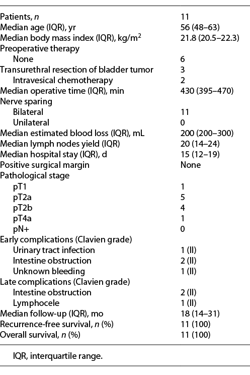  Patient demographics, operative and postoperative parameters
