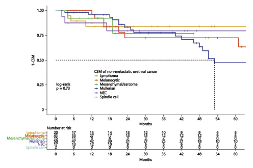  Kaplan-Meier plot illustrating cancer-specific mortality (CSM) for nonmetastatic urethral-cancer patients according to unconventional histological subtypes. NEC, neuroendocrine.