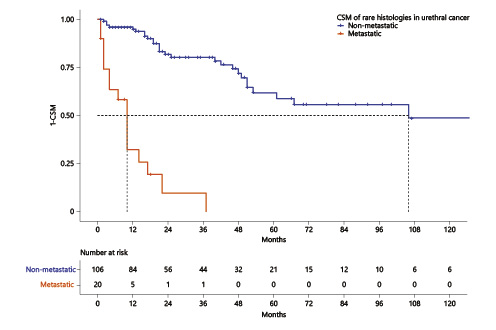 Kaplan-Meier plots illustrating cancer-specific mortality (CSM) for nonmetastatic (a) and metastatic (b) unconventional urethral-cancer histological subtypes.