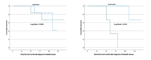  Kaplan-Meier survival analysis considering FACT scores.