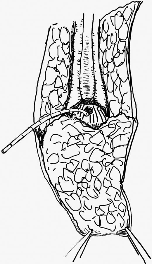 Fig. 4. Refer to the image caption for details.