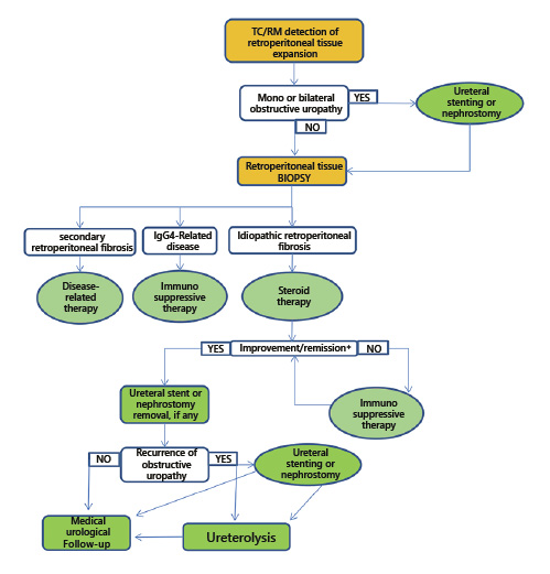  Diagnostic-therapeutic algorithm for patients affected by retroperitoneal fibrosis. *As improvement/remission, we mean radiological evidence of retroperitoneal mass reduction, restoration of ureteral patency, and absence of symptoms and/or pain. Refer to the image caption for details.