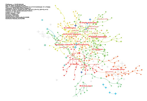 Cluster map of keywords on BPH. Refer to the image caption for details.