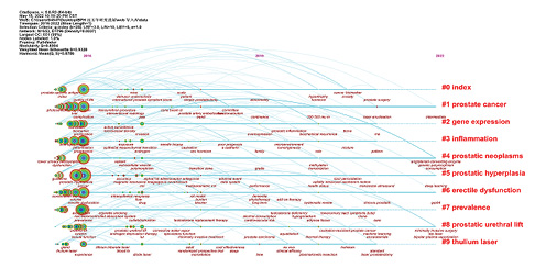  Timeline view of the keywords in articles related to BPH.