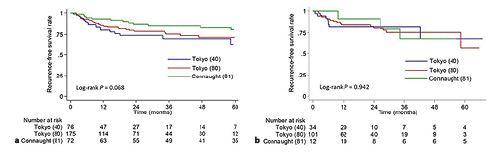 Kaplan-Meier analysis of RFS of three BCG strains (low- and full-dose Tokyo-172 strain, full-dose Connaught strain) in patients with NMIBC (a) and CIS (b).