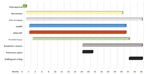  Gantt chart illustrating the summary of study timeline.