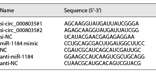  The oligo sequences for cell transfection Refer to the image caption for details.