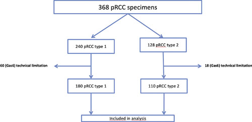 Study flow chart. pRCC, papillary renal cell carcinoma; n, number of patients included. Refer to the image caption for details.