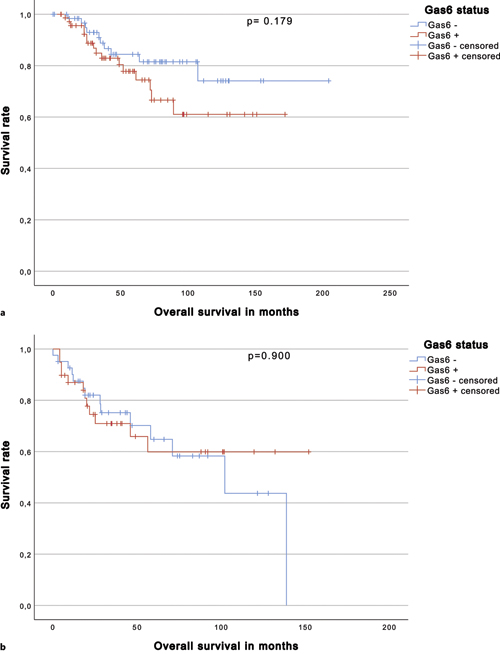 a Kaplan-Meier analysis disclosed a 5-year OS of 84.4% for patients with Gas 6− tumors compared to 77.8% for patients with Gas 6+ tumors in pRCC type 1 (p = 0.179, log-rank). b Kaplan-Meier analysis disclosed a 5-year OS of 64.8% for patients with Gas 6− tumors compared to 59.9% for patients with Gas 6+ tumors in pRCC type 2 (p = 0.900, log-rank).