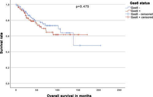 Kaplan-Meier analysis disclosed a 5-year OS of 77.2% for patients with Gas 6− tumors compared to 71.7% for patients with Gas 6+ tumors in all types of pRCC (p = 0.475, log-rank). Refer to the image caption for details.