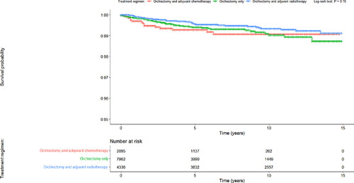 Kaplan-Meier survival curves for patients with stage I seminoma according to the treatment regimen.