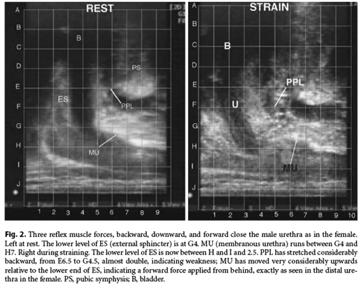 Graphic. Refer to the image caption for details.