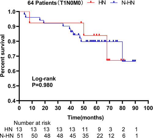 Overall survival of T1N0M0 patients stratified by preoperative hydronephrosis. Refer to the image caption for details.