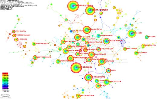 The author collaboration network of TKI for RCC from 2000 to 2022. Refer to the image caption for details.