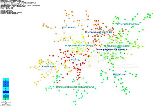 The cluster map of keywords on TKI for RCC from 2000 to 2022. Refer to the image caption for details.
