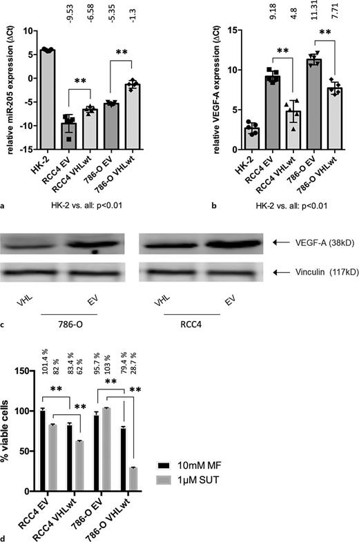 Expression of miR-205 and VEGFA in RCC4 and 786-O cells depending on VHL status. a, bVHLwt RCC4 and 786-O cells exhibited higher levels of miR-205 and correspondingly lower levels of VEGFA. HK-2 cells were taken as control. cVHLwt RCC4 and 786-O cells were characterized by decreased VEGF protein levels. Vinculin served as a housekeeping protein. dVHLwt RCC cells were significantly more sensitive toward MF and SUT treatment. **p < 0.01.