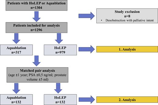 Study flow diagram. Refer to the image caption for details.