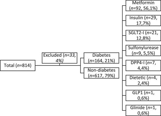 A graphic showing the treatment of patients and their antidiabetic medication. SGLT2-I, sodium-glucose cotransporter type 2 inhibitors; DPP4-I, dipeptidyl peptidase-4 inhibitor; GLP-1, glucagon-like peptide-1. Refer to the image caption for details.