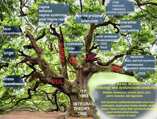 The Integral Theory Paradigm (ITP) discovery tree. The ITP tree shows the expansion of the ITP between 1990 and 2023 to cure bladder/bowel/pain/prolapse conditions by strengthening ligaments, muscles and restoring elasticity to the vagina by skin grafts by many different physicians. Many conditions in Figure 1, such as interstitial cystitis/BPS, cure of ongoing massive urine loss after successful fistula repair, obstructive defecation syndrome, anterior rectal wall intussusception were discovered by observation and testing following ligament repair according to the ITP. Some such as cure of day/night enuresis and the latest urethral ligament plication operation were by direct testing the ITP’s predictions (see 2024 Integral Theory Update: https://atm.amegroups.org/issue/view/1400). BPS, bladder pain syndrome. Refer to the image caption for details.