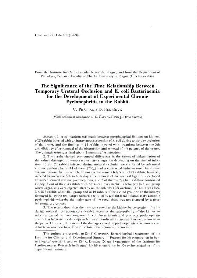 First page of The Significance of the Time Relationship Between Temporary Ureteral Occlusion and E. coli Bacteriaemia for the Development of Experimental Chronic Pyelonephritis in the Rabbit