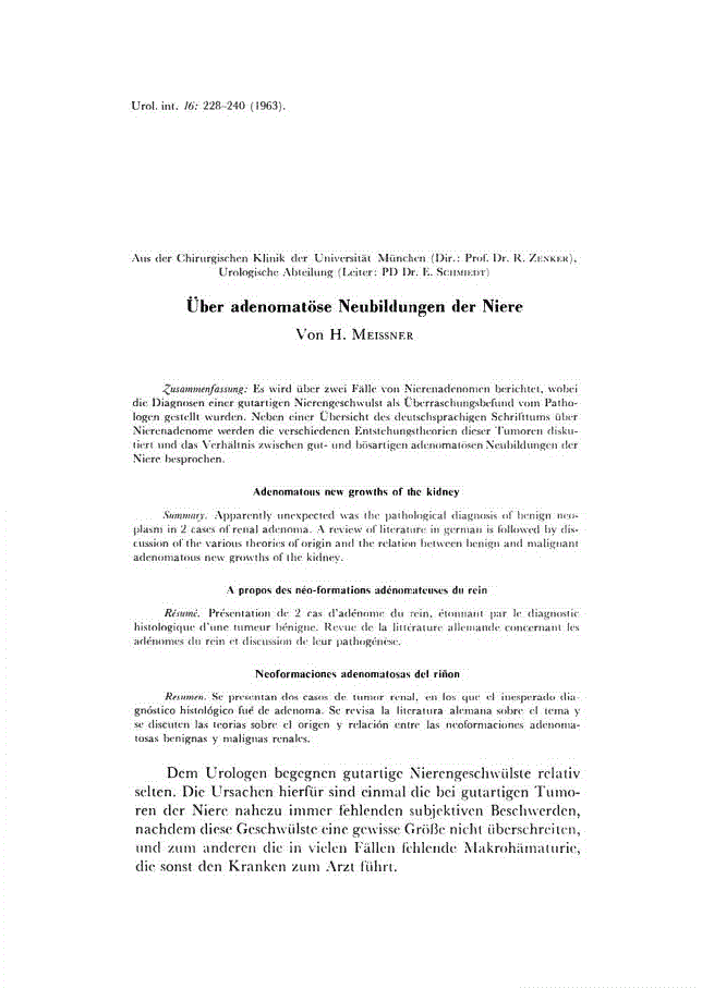 First page of Über adenomatöse Neubildungen der Niere
