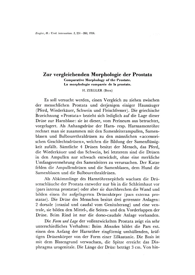 First page of Zur vergleichenden Morphologie der Prostata