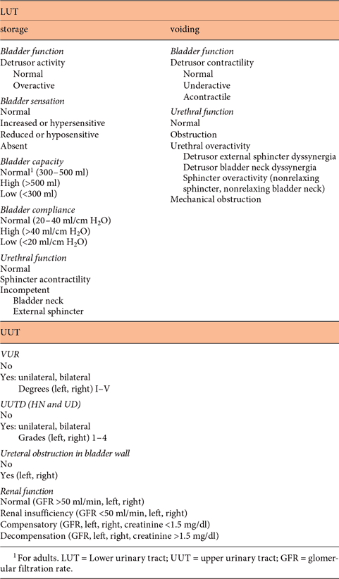 A new comprehensive classification system for lower and upper urinary tract dysfunction in patients with NB