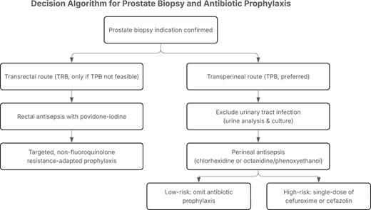 Decision algorithm for prostate biopsy and antibiotic prophylaxis. The flowchart outlines the recommended pathways following the confirmation of an indication for prostate biopsy. The preferred approach is transperineal biopsy (TPB), beginning with exclusion of urinary tract infection via urinalysis, culture, and assessment of risk factors, followed by perineal antisepsis using chlorhexidine or octenidine/phenoxyethanol. Based on patient risk stratification, either omission of antibiotics (low risk) or a single dose of cefuroxime, cefazolin, or ampicillin/sulbactam (30–60 min prior to biopsy) is advised. Alternatively, if TPB is not feasible, the transrectal route (TRB) may be considered, with rectal antisepsis using povidone-iodine and targeted, non-fluoroquinolone, resistance-adapted antibiotic prophylaxis. This algorithm emphasizes clinical decision-making aimed at minimizing infectious complications. Low-risk patients are defined as those with sterile urine, no diabetes mellitus, no immunosuppression, no indwelling catheter for longer than 14 days, and no recent urinary tract infection. High-risk patients are those with one or more of the above factors. Refer to the image caption for details.