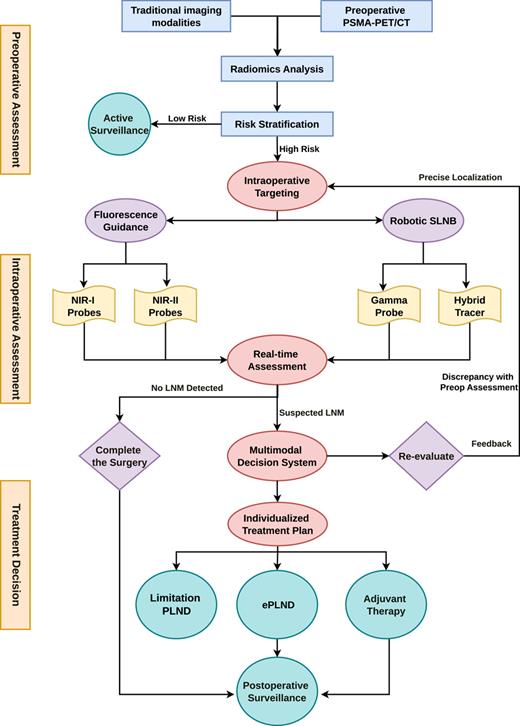 Preoperative risk stratification combines conventional imaging and PSMA-PET/CT to identify candidates for intraoperative LN assessment. Intraoperative guidance integrates fluorescence imaging using (NIR-I/II probes), along with robotic SLNB using gamma probes and/or hybrid tracers, to enable real-time LN targeting. The multimodal decision system incorporates intraoperative feedback to reconcile preoperative and intraoperative findings, thereby optimizing individualized pelvic lymph node dissection.