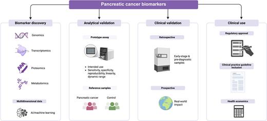 Phases of biomarker development for early detection of pancreatic cancer. Created with BioRender.com.